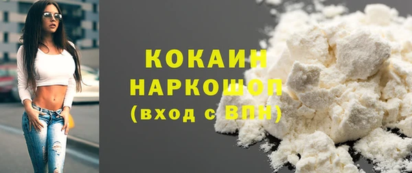 стаф Аркадак