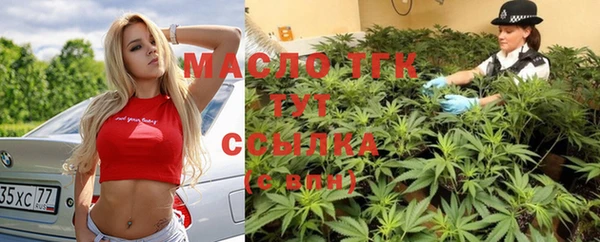стаф Аркадак
