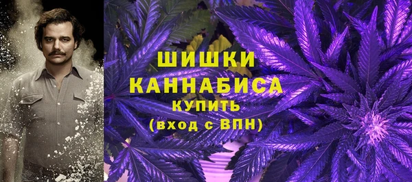 мет Арсеньев