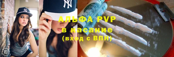 стаф Аркадак