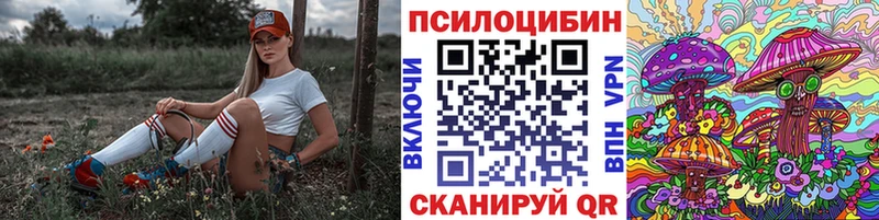 Галлюциногенные грибы Psilocybine cubensis  где найти   Окуловка 